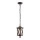 Уличный подвесной светильник Loft IT Ravenna 100016P