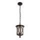 Уличный подвесной светильник Loft IT Ravenna 100016P, изображение 3