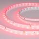 Светодиодная лента Arlight RT-A60-8mm 24V Ruby (4.8 W/m, IP20, 5m) 055374, изображение 2