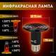 Инфракрасная лампа для брудера, рептилий Эра CeramiHeat FITO-50W-НQ Б0052714, изображение 6