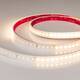 Светодиодная лента герметичная Arlight DMX-PS-A96-14mm 24V Warm3000-PX12 (14 W/m, IP67, 5m) (CRI>90)