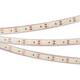 Светодиодная влагозащищенная лента Arlight 9,6W/m 120LED/m 3528SMD дневной белый 5M 022319(2)