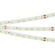 Светодиодная лента Arlight RT-A80-8mm 24V Day4000 024512(2)