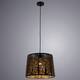 Подвесной светильник Arte Lamp Celesta A2769SP-1BK, изображение 3