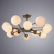 Потолочная люстра Arte Lamp Marco A2703PL-12SG, изображение 4