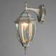 Уличный настенный светильник Arte Lamp Pegasus A3152AL-1WG, изображение 4