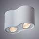 Потолочный светильник Arte Lamp Falcon A5645PL-2WH, изображение 2