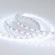 Светодиодная лента Arlight 14,4W/m 60LED/m 5060SMD холодный белый 5M 013341(2), изображение 2