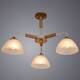 Потолочная люстра Arte Lamp Matthew A5032PL-3BR, изображение 2