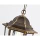 Уличный подвесной светильник Ambrella light Garden ST2031, изображение 4