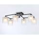 Потолочная люстра Ambrella light Traditional Modern TR303224, изображение 6