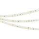 Светодиодная влагозащищенная лента Arlight 14W/m 144LED/m 2835SMD дневной белый/красный 5M FITOLUX-S, изображение 3