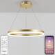 Подвесной светодиодный светильник Natali Kovaltseva Led Lamps 81296, изображение 6