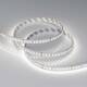 Светодиодная лента Arlight 7,7W/m 144LED/m 2835SMD холодный белый 5M RT-A144-10mm 24V White6000 0387, изображение 4