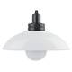 Настенный светильник Эра NLED-487-1W-SW-W Б0051474, изображение 5