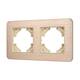 Рамка на 2 поста алюминиевая Arlight FRM-AKIRY-AL-2-GD 049726
