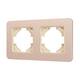 Рамка на 2 поста алюминиевая Arlight FRM-AKIRY-SFAL-2-GD 049739