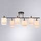Потолочная люстра Arte Lamp Merope A4071PL-6BK, изображение 2