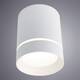 Потолочный светодиодный светильник Arte Lamp Elle A1949PL-1WH, изображение 2