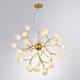 Подвесная люстра Arte Lamp Candy A7274SP-36GO, изображение 3