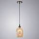 Подвесной светильник Arte Lamp Propus A4344SP-1AB, изображение 2