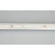 Светодиодная влагозащищенная лента Arlight 4,8W/m 60LED/m 2835SMD холодный белый 5M 034157, изображение 2