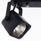 Спот Arte Lamp Lente A1314PL-2BK, изображение 2
