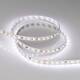 Светодиодная лента Arlight 21,3W/m 168LED/m 2835SMD от теплого до холодного 5M RT-A168-10mm 24V Day, изображение 3