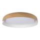 Потолочный светодиодный светильник Loft IT Coin 10198 White, изображение 3
