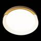 Потолочный светодиодный светильник Loft IT Coin 10198 White, изображение 4
