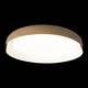 Потолочный светодиодный светильник Loft IT Coin 10198 White, изображение 7
