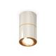 Потолочный светильник Ambrella Light Techno Spot XS7405060 (C7405, A2072, C7405, N7004)