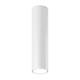 Накладной светильник SWG MINI-VL-BASE-M-WH-WW 004850, изображение 2