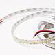 Светодиодная лента SWG Standard 2835 240 LED/м 20 Вт/м 24В IP20 SWG2240-24-20-NW-M 00-00032743, изображение 2