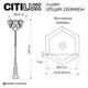 Парковый светильник Citilux Forts CLU09P3, изображение 13