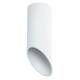 Потолочный светильник Arte Lamp Pilon A1615PL-1WH, изображение 2