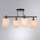 Потолочная люстра Arte Lamp Merope A4071PL-4BK, изображение 2