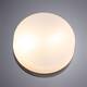 Потолочный светильник Arte Lamp Aqua-Tablet A6047PL-2AB, изображение 2