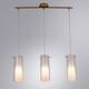 Подвесной светильник Arte Lamp Aries A8983SP-3PB, изображение 4