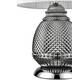 Настольная лампа Vele Luce Fiona VL5623N21, изображение 4