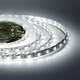 Светодиодная лента Apeyron 14,4W/m 60LED/m 5050SMD холодный белый/теплый белый 5M 00-116