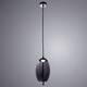 Подвесной светодиодный светильник Arte Lamp Cody A7769SP-1BC, изображение 2