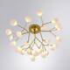 Потолочная люстра Arte Lamp Candy A7274PL-27GO, изображение 2
