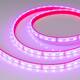 Светодиодная влагозащищенная лента Arlight 14,4W/m 60LED/m 5060SMD разноцветный 5M 033790, изображение 3