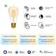 Лампа светодиодная диммируемая филаментная Gauss Smart Home Filament E27 6,5W 2000-5500K золотистая 1310112, изображение 2