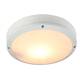 Уличный светильник Arte Lamp City A8154PF-2WH