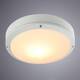 Уличный светильник Arte Lamp City A8154PF-2WH, изображение 2
