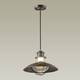 Уличный подвесной светильник Odeon Light Nature Dante 4164/1, изображение 2