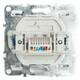 Розетка компьютерная RJ-45 Stekker Эрна черный PST00-9107-03 49151, изображение 4