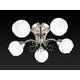 Потолочная люстра Toplight Dana TL3560X-05SN, изображение 2
